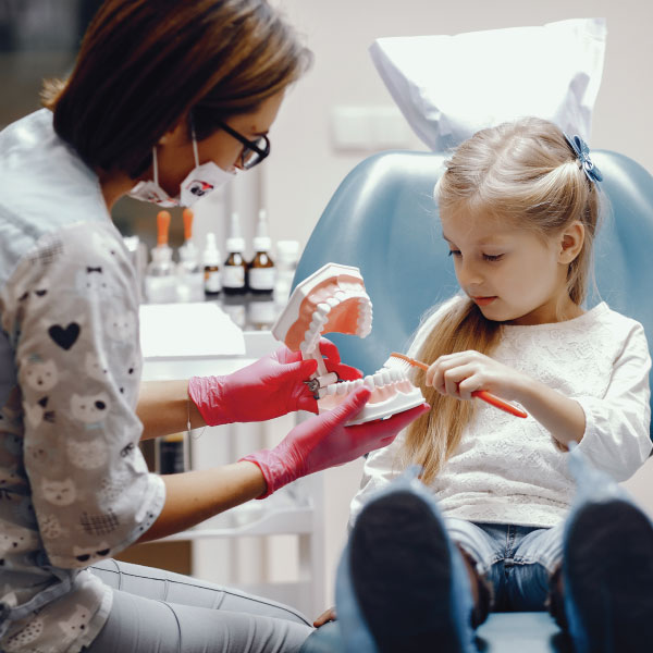 Child Learning About Their Teeth at Dental Office in Raleigh NC