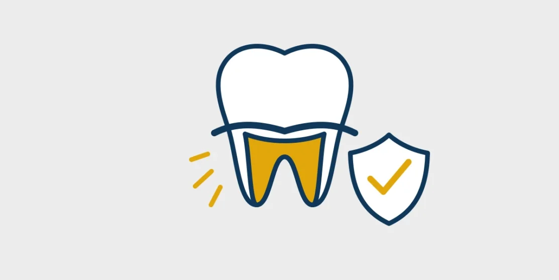 Tooth with an exposed root, sensitivity rays, and a protective shield